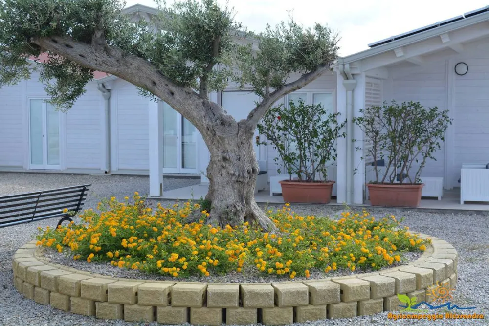 Agricampeggio Alessandra