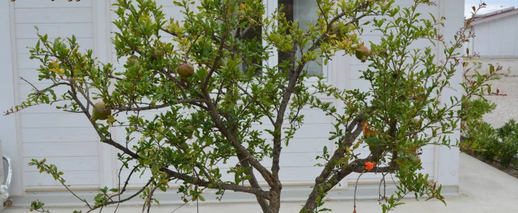 Agricampeggio Alessandra