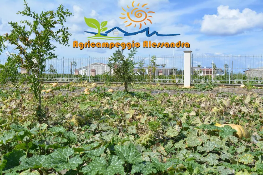 Agricampeggio Alessandra