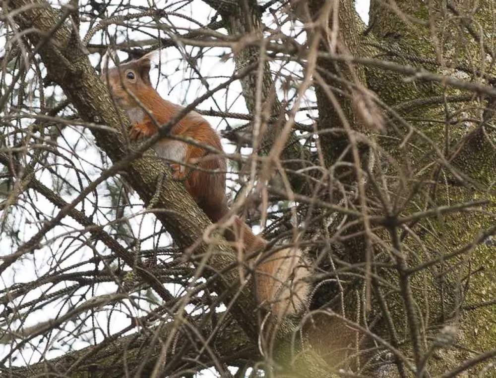 Tarland by Deeside Camping and Caravanning Club Site