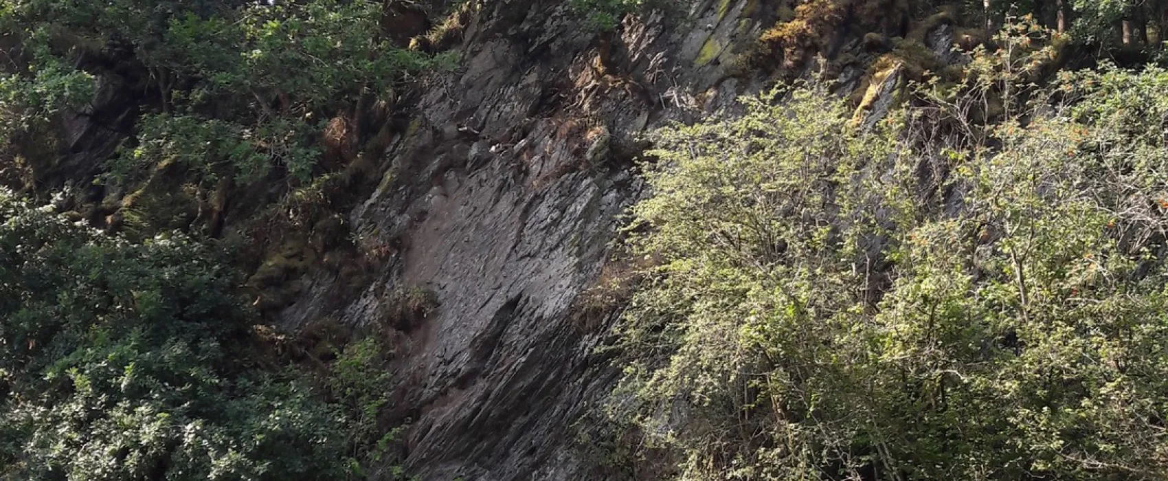 Camping Chasse Et Peche