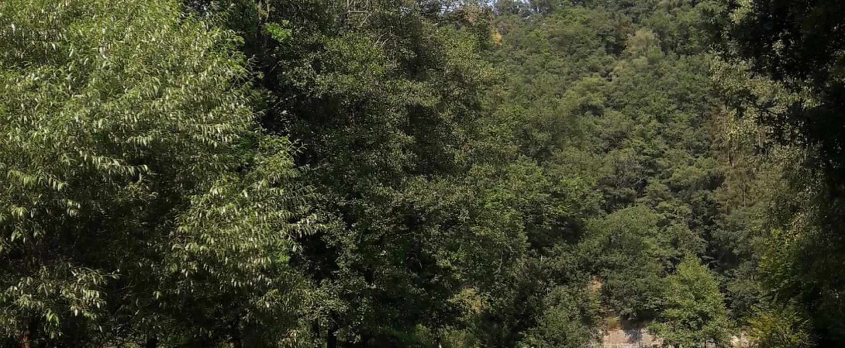 Camping Chasse Et Peche