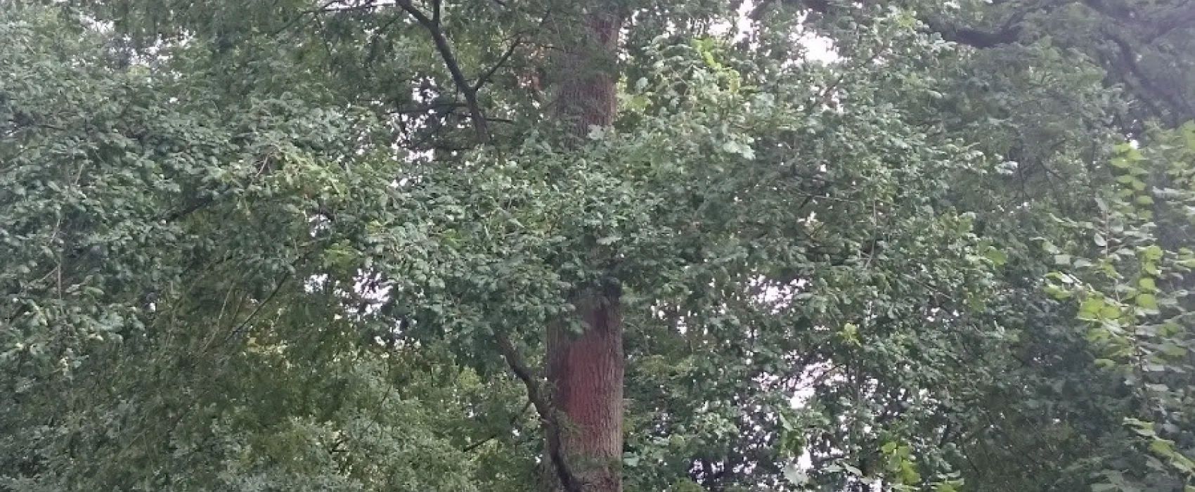 Camping Naturiste Regain