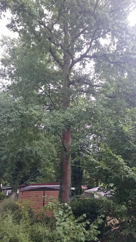 Camping Naturiste Regain