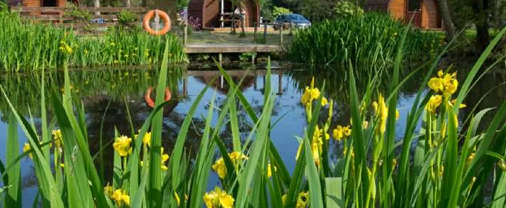 Brighouse Bay Holiday Park