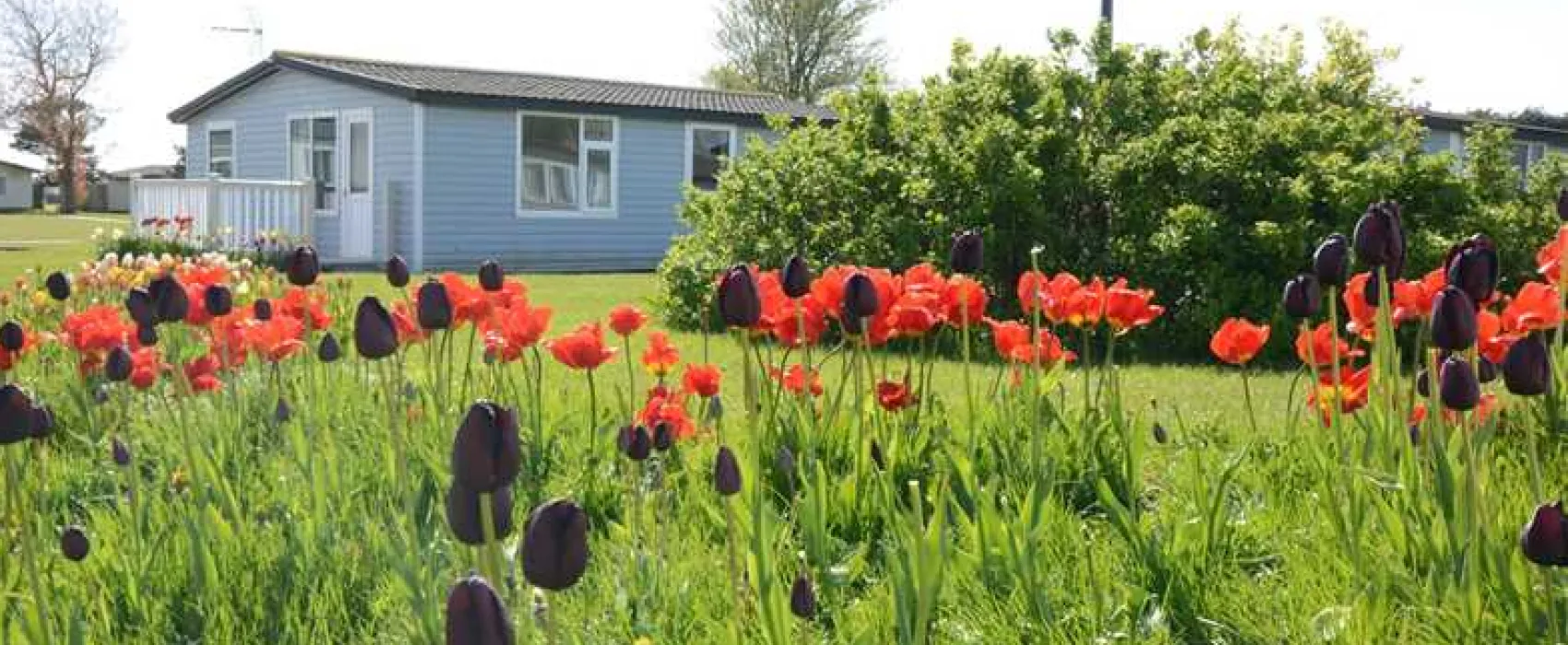 Solway Holiday Village