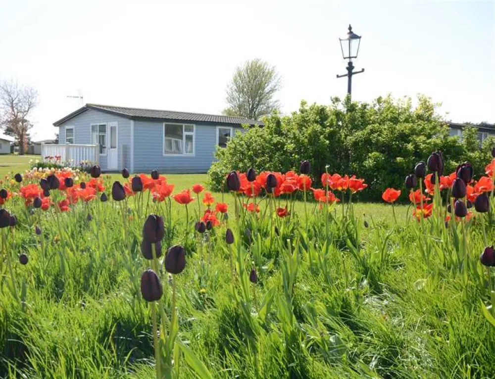 Solway Holiday Village