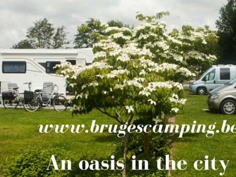 Camping Memling em Bélgica photo 2