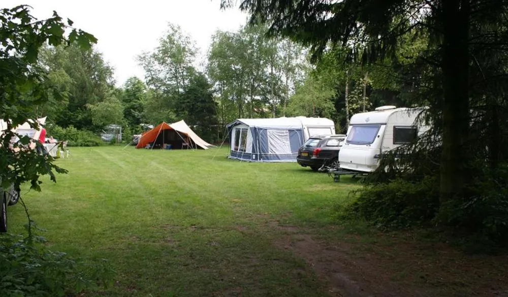 Camping De Warme Bossen