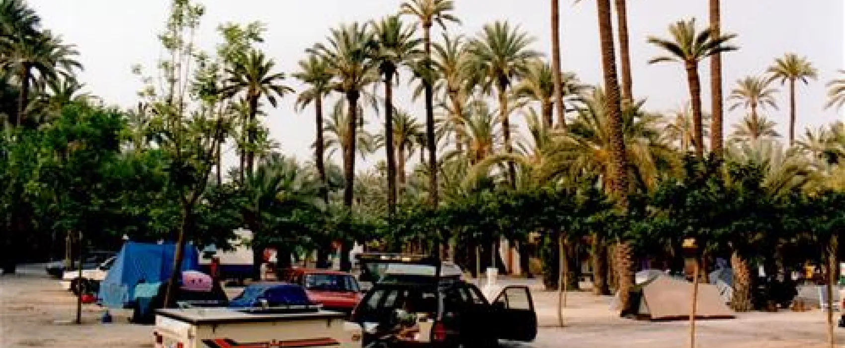 Camping Internacional Las Palmeras