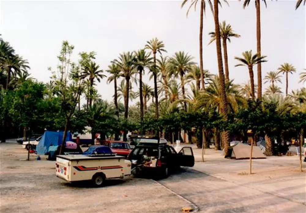 Camping Internacional Las Palmeras