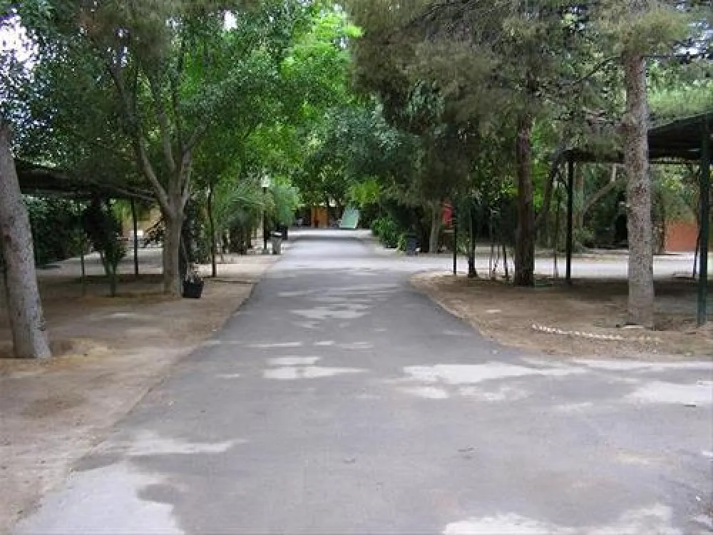 Camping Internacional Las Palmeras