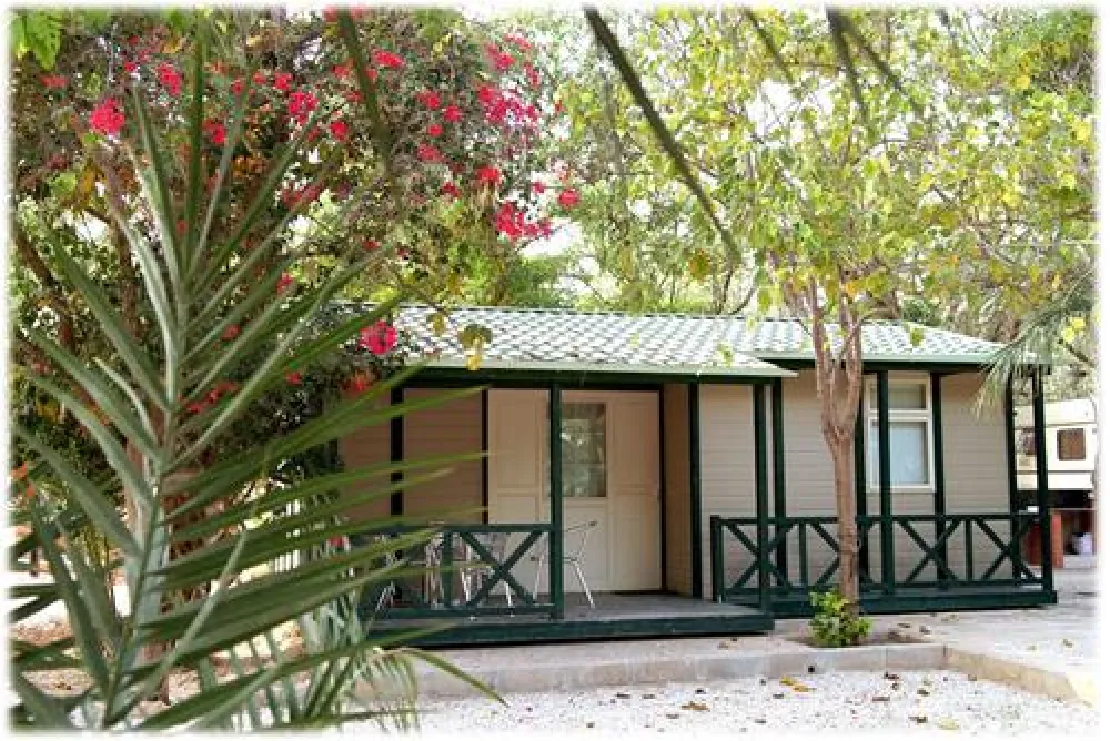 Camping Internacional Las Palmeras