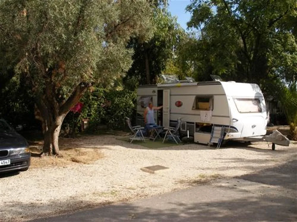 Camping Internacional Las Palmeras