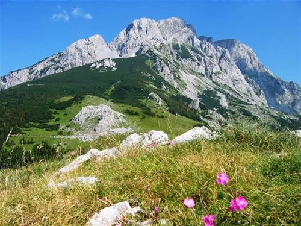 Camp Most(Rafting Rooms Tara)