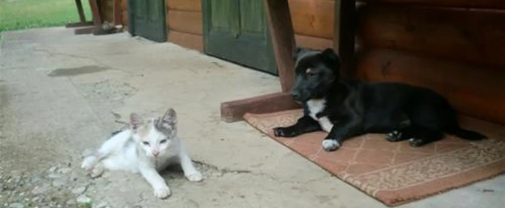 Camp Most(Rafting Rooms Tara)