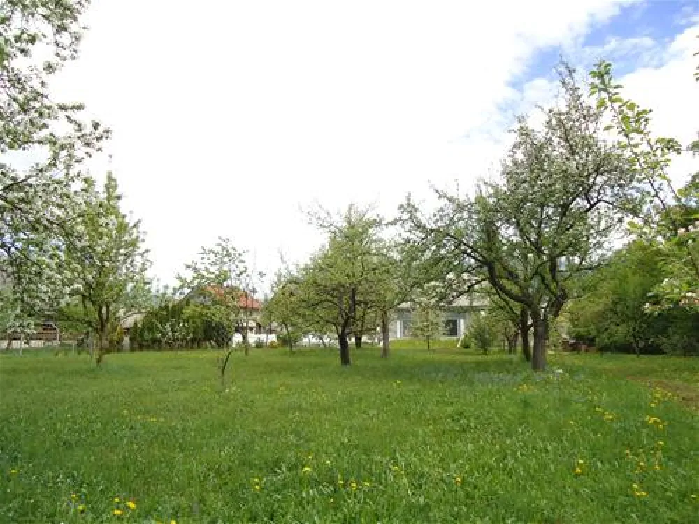 Turisticna kmetija Hribar,