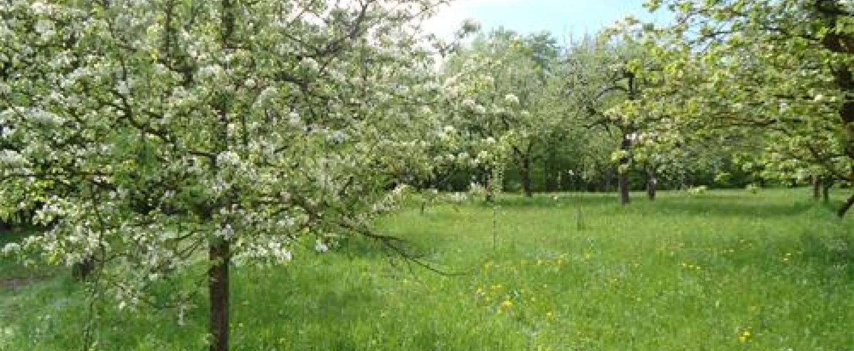 Turisticna kmetija Hribar,