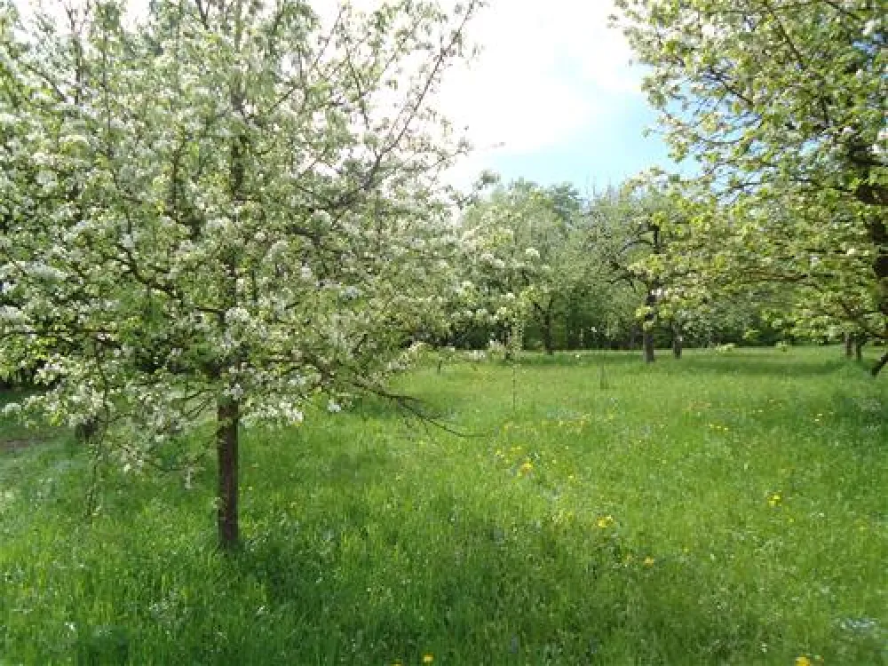 Turisticna kmetija Hribar,