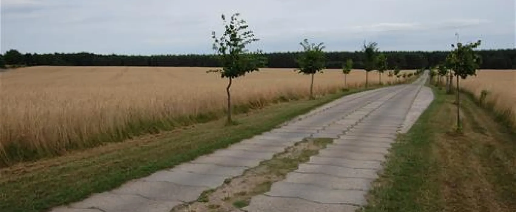 Camping am Grossen Zechliner See