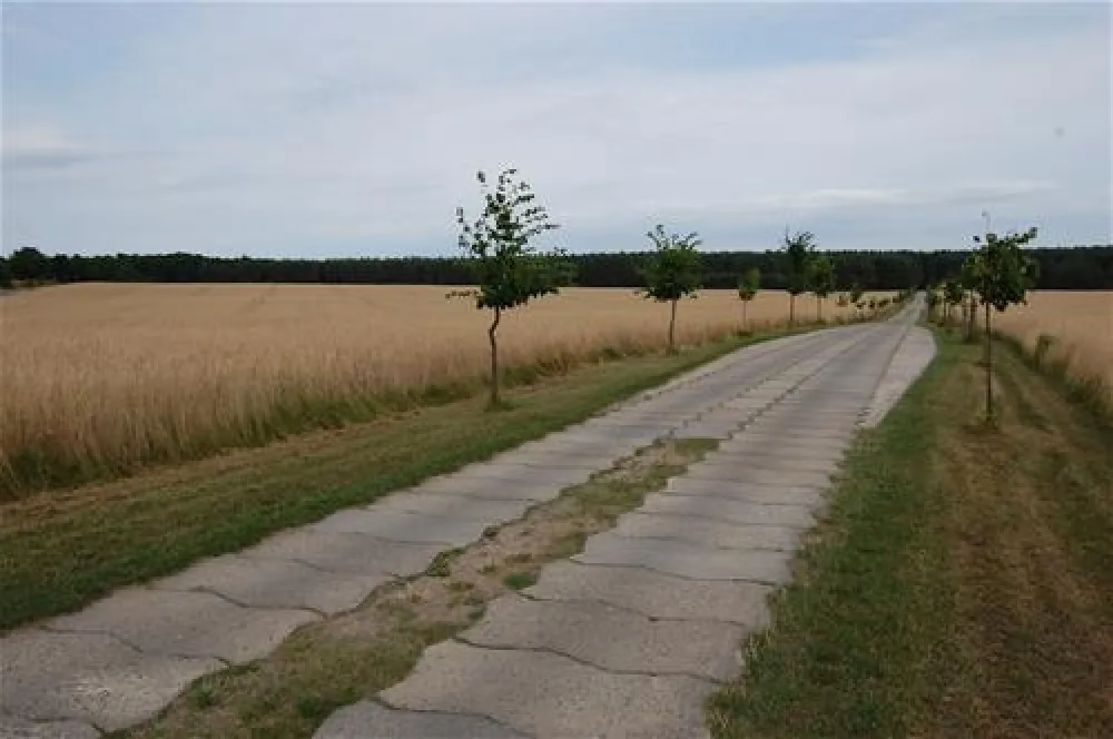 Camping am Grossen Zechliner See