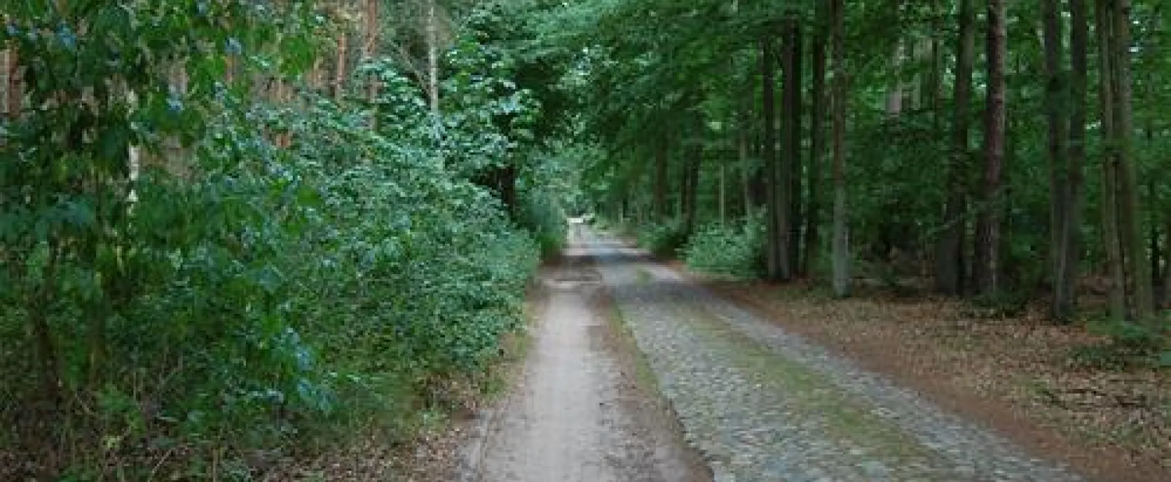 Camping am Grossen Zechliner See