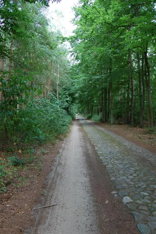 Camping am Grossen Zechliner See