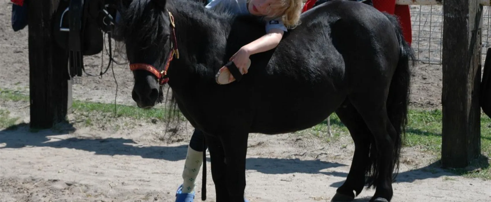 Camping De Witte Wieven