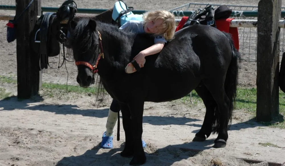 Camping De Witte Wieven