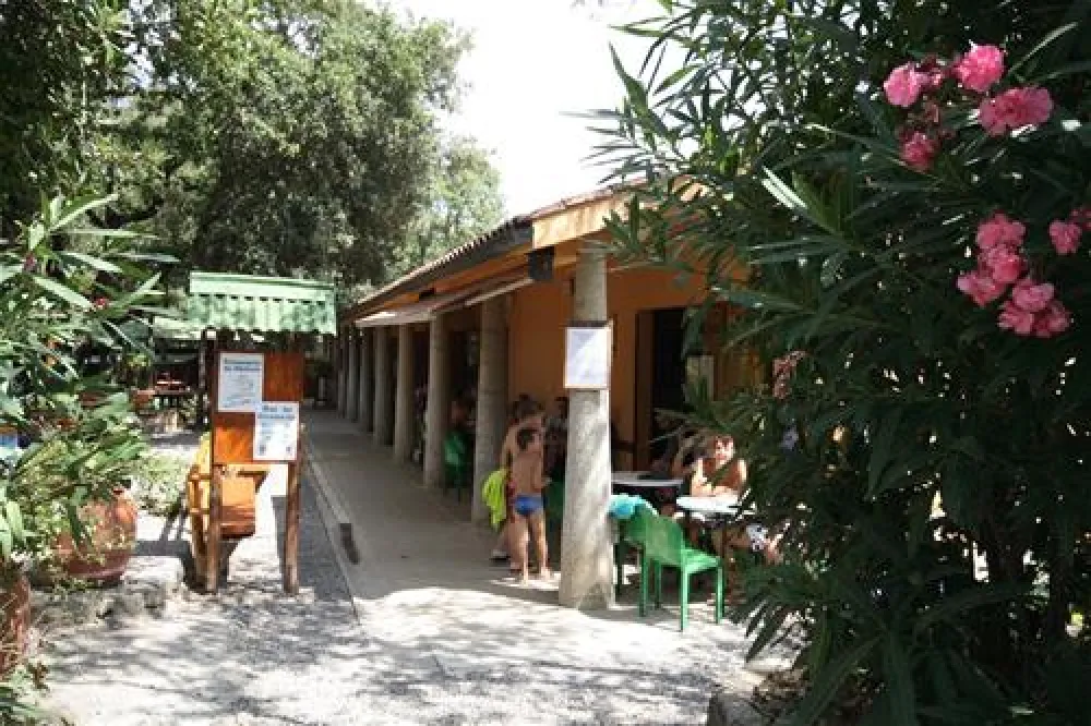 Camping Village Montescudaio