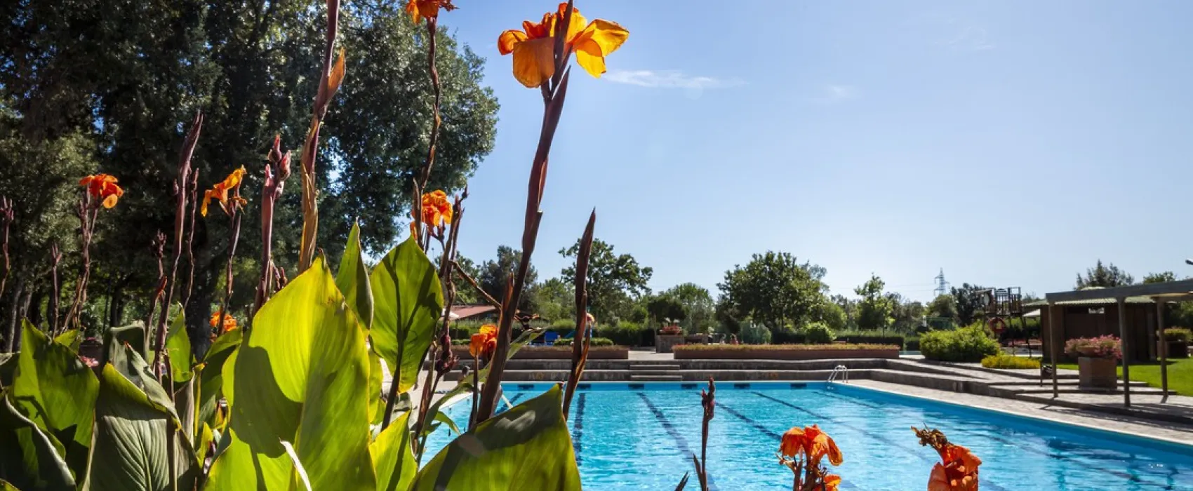 Camping Village Montescudaio