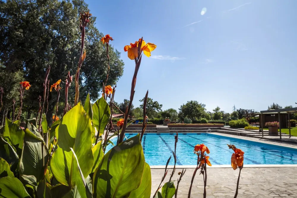 Camping Village Montescudaio