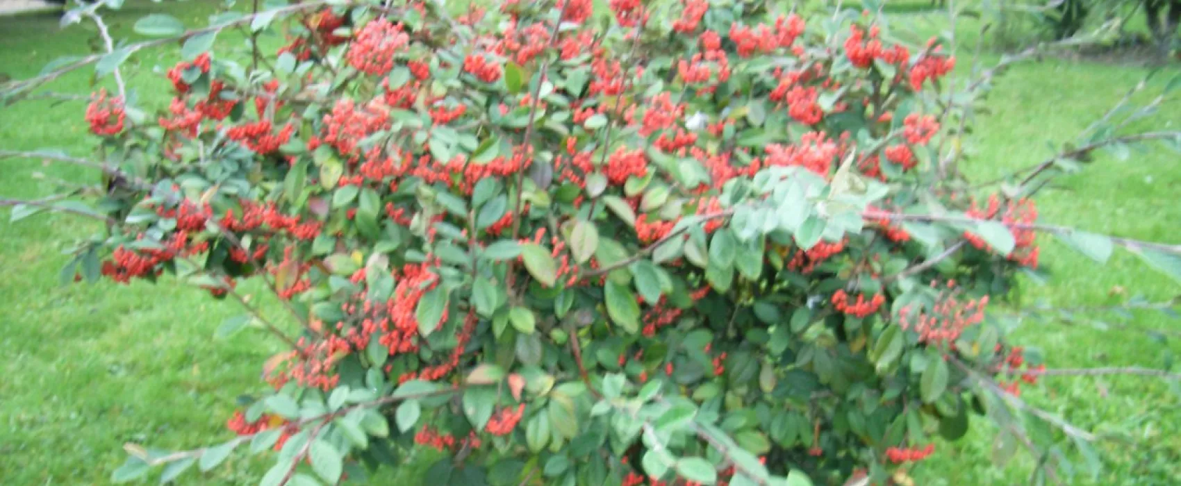 Le Château de Chambonnières