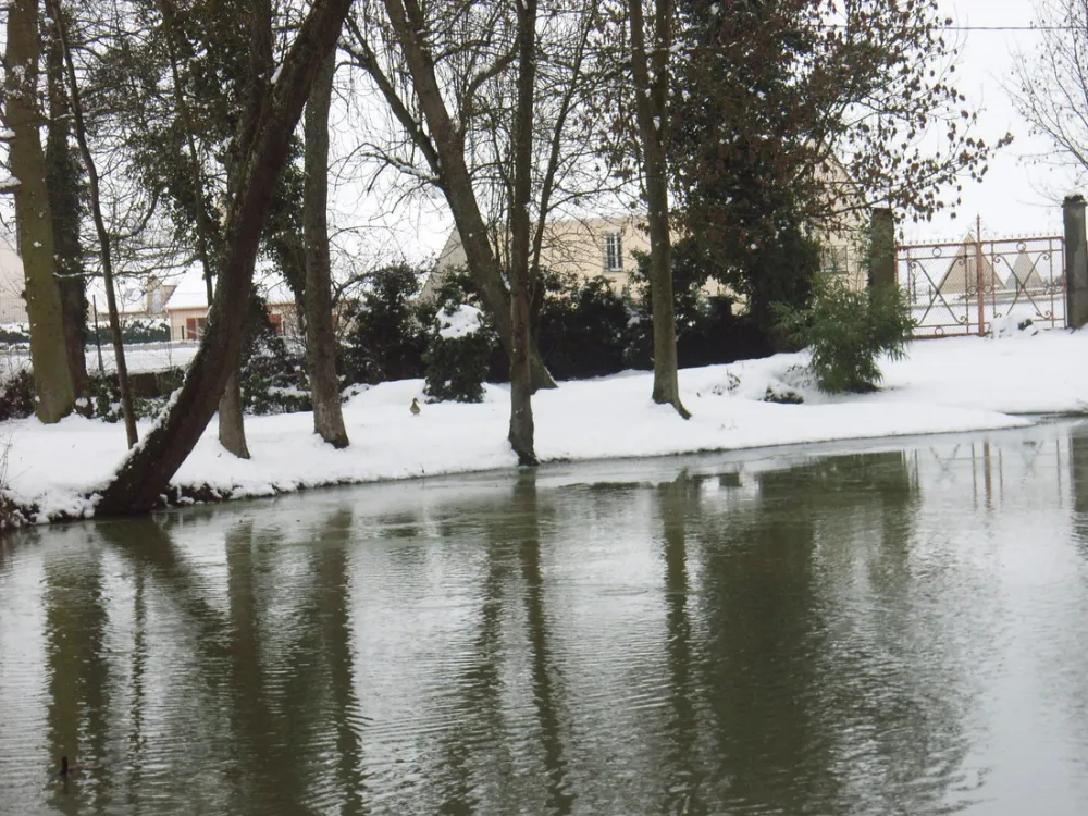 Le Château de Chambonnières