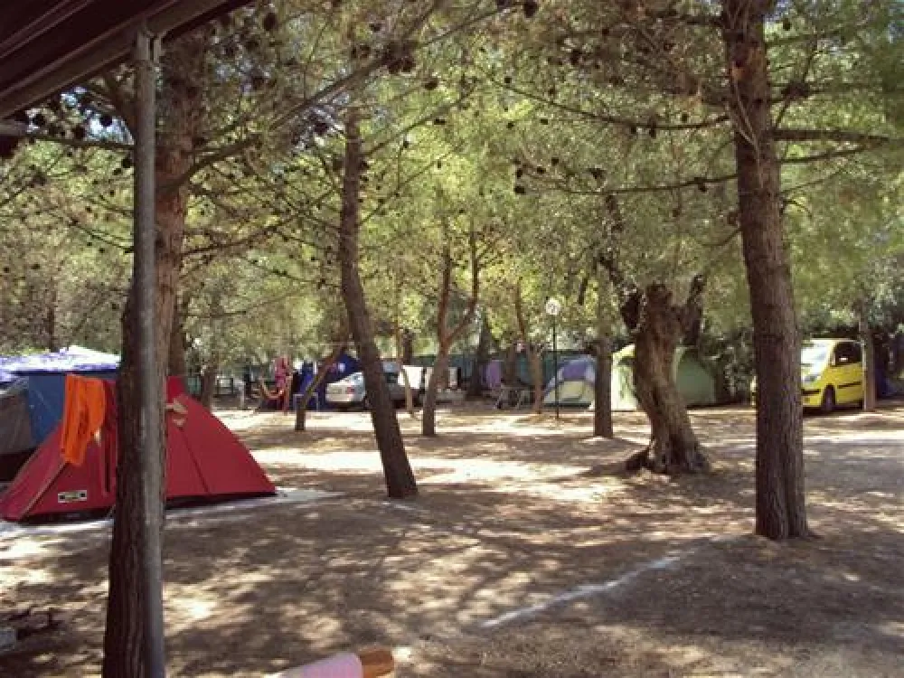 Camping Lama le Canne