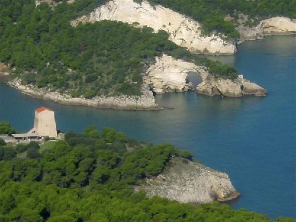 Camping Lama le Canne