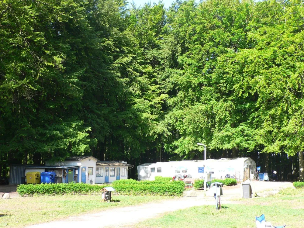 Krüger Naturcamp