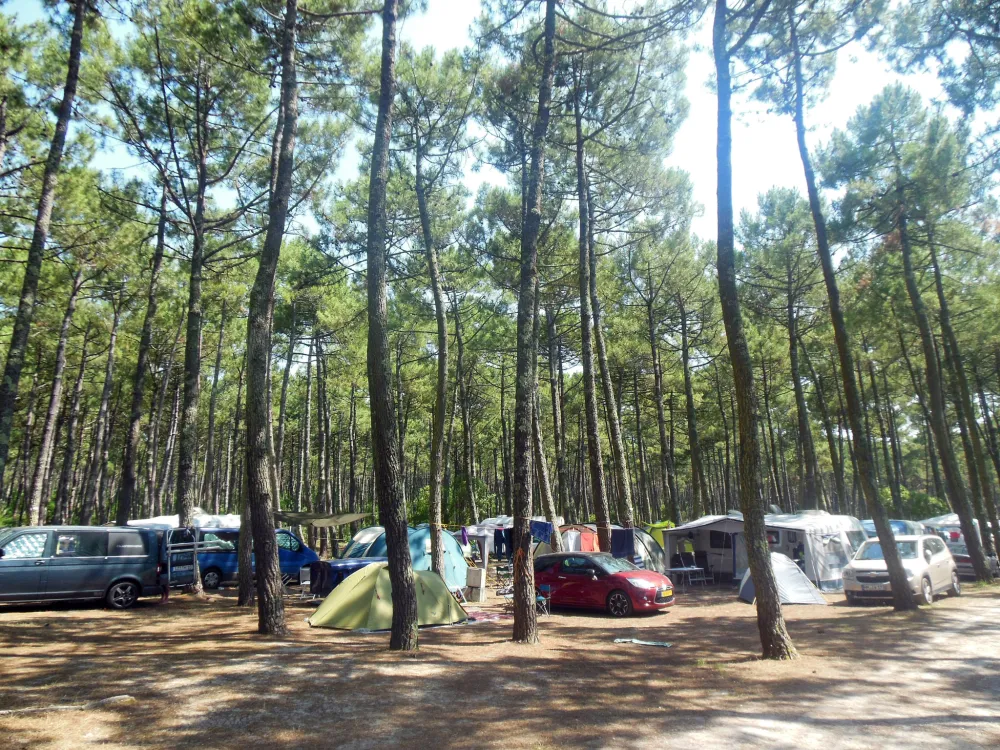 Camping Bremontier