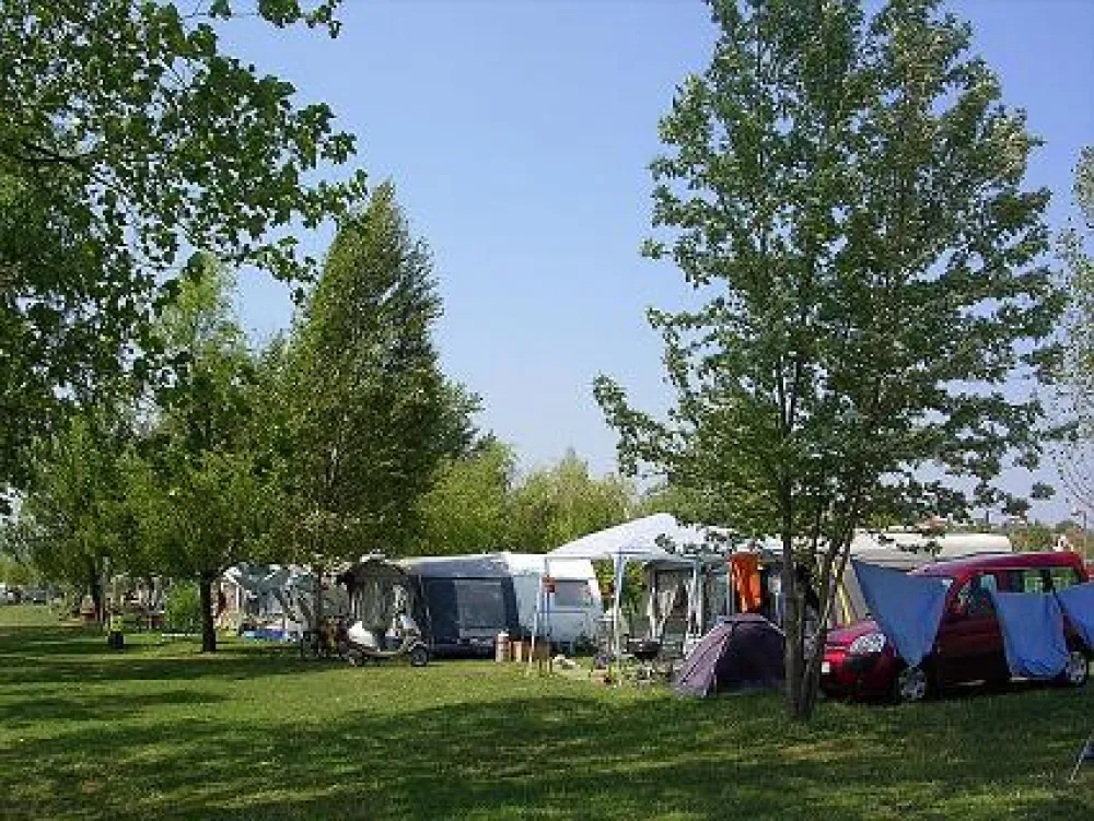 Drótszamar Park & Camping