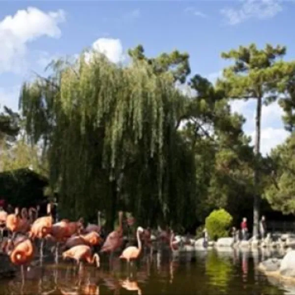Atlantique Parc