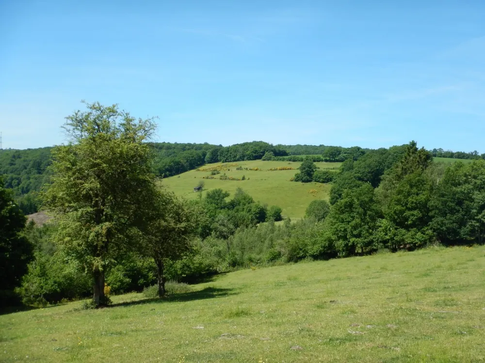 Camping Chalet Wee-kend