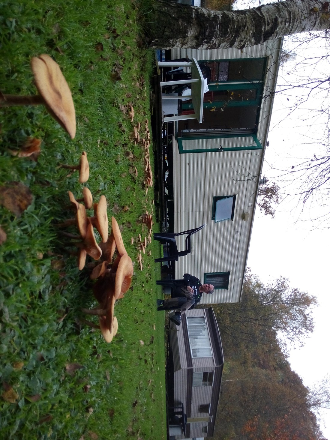 Camping Chalet Wee-kend - Photo 2