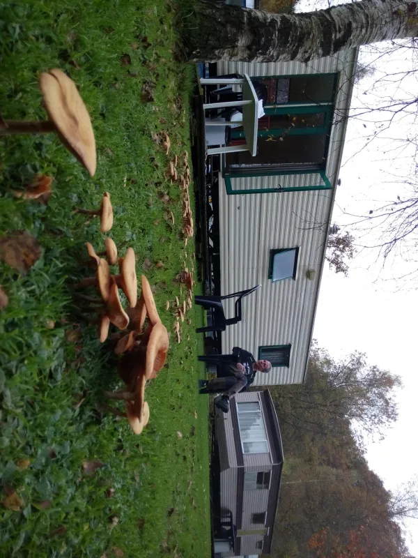 Camping Chalet Wee-kend