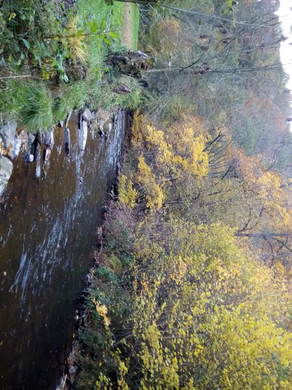 Camping Chalet Wee-kend