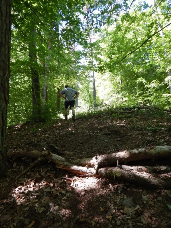 Camping Chalet Wee-kend