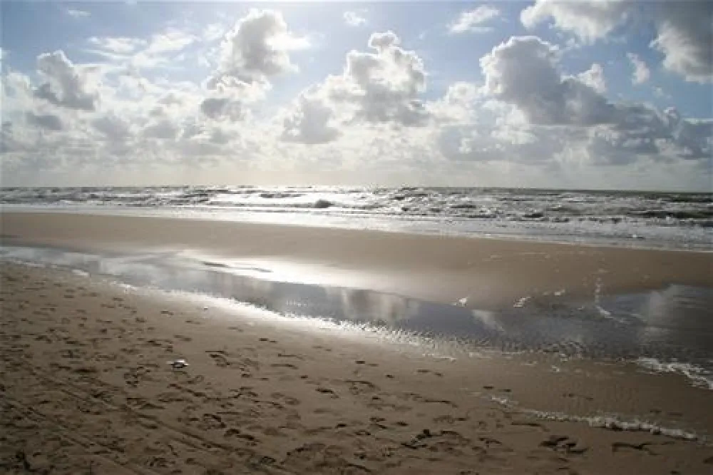 Camping International