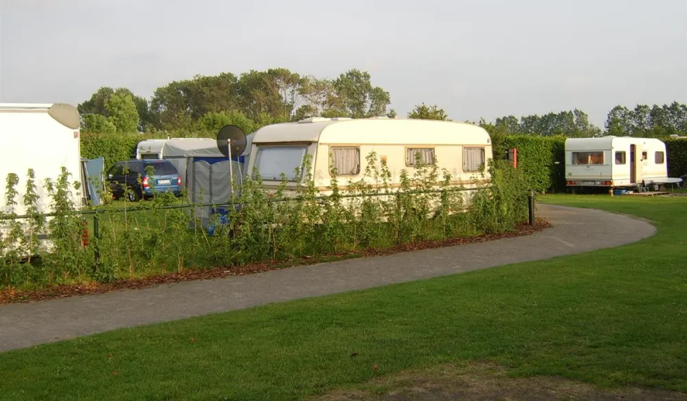 Camping International