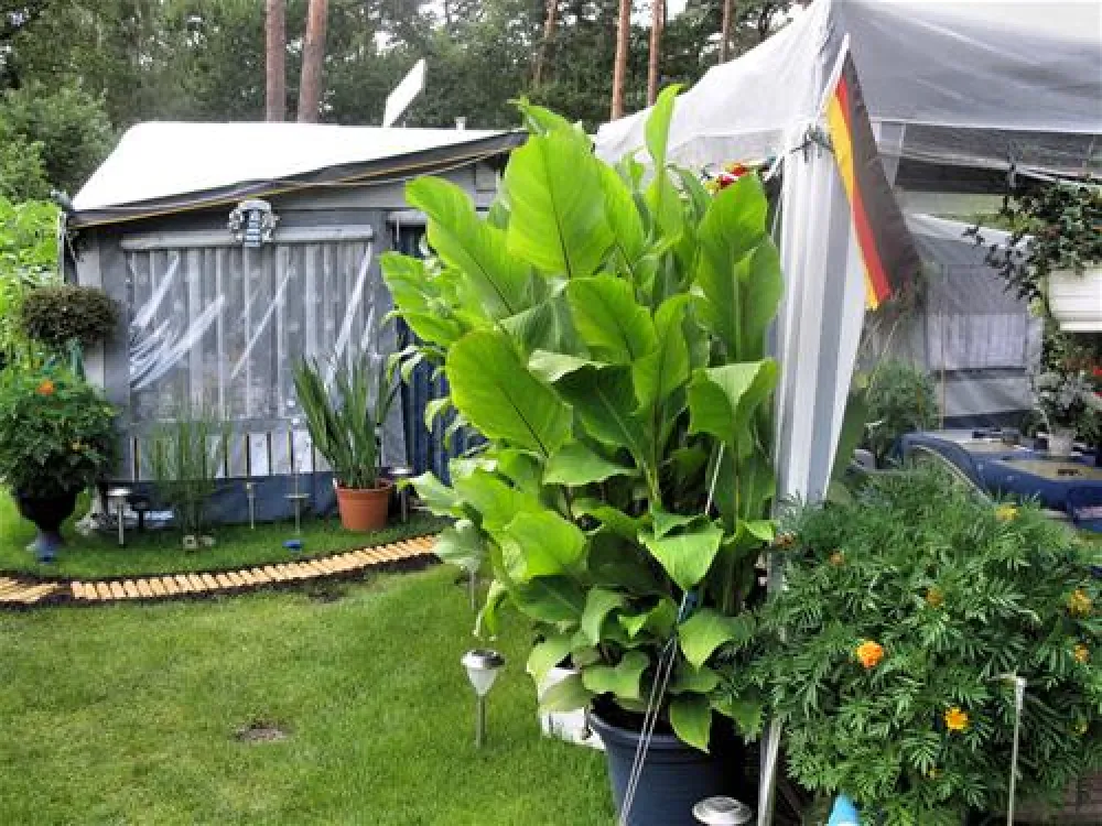 Campingfreunde Gorinsee