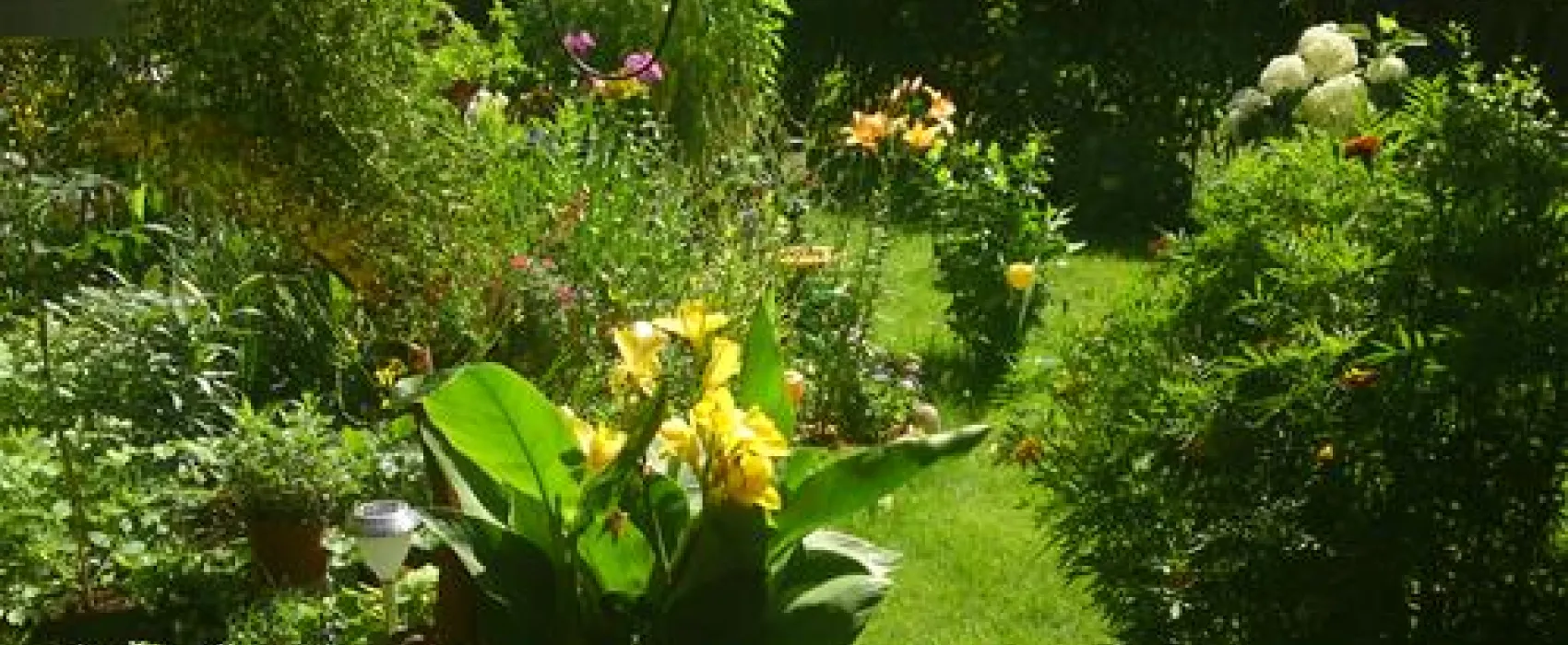 Campingfreunde Gorinsee