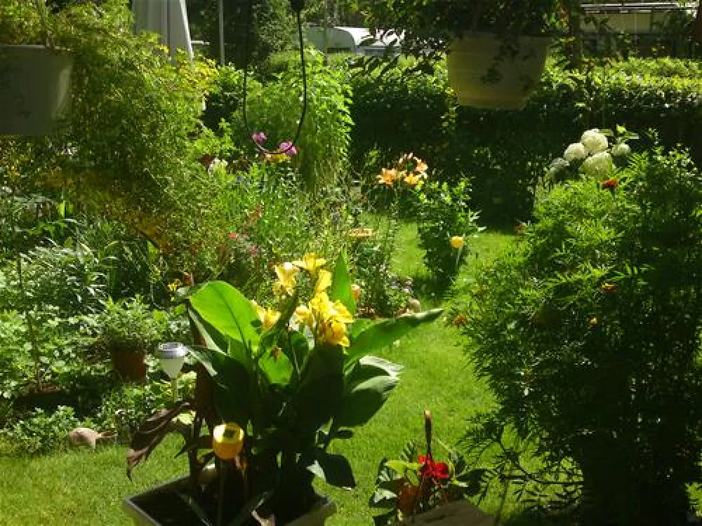 Campingfreunde Gorinsee